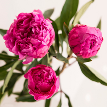 Load image into Gallery viewer, Pink Picasso Paint Kits