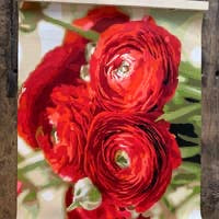 Load image into Gallery viewer, Pink Picasso Paint Kits