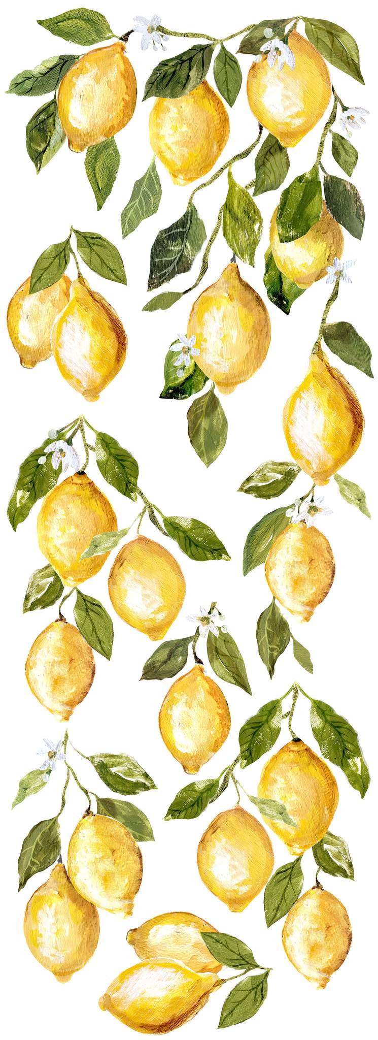 Lemon Drops IOD Transfer