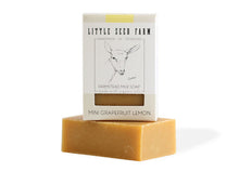 Load image into Gallery viewer, Mini Milk Soaps
