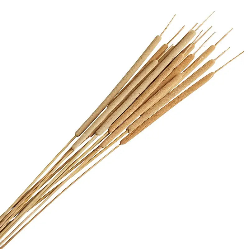 Reed Stems